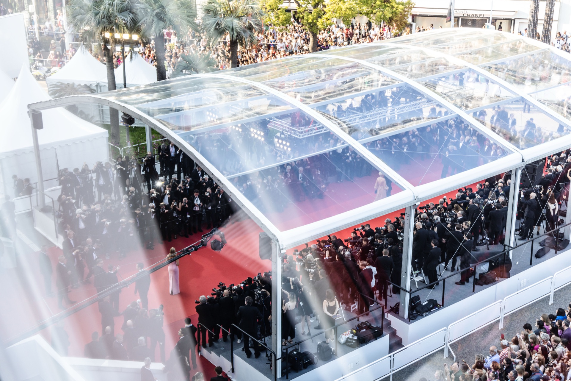 Vidéo Red Carpet & Tapis rouge — Festival de Cannes par Images d'Azur