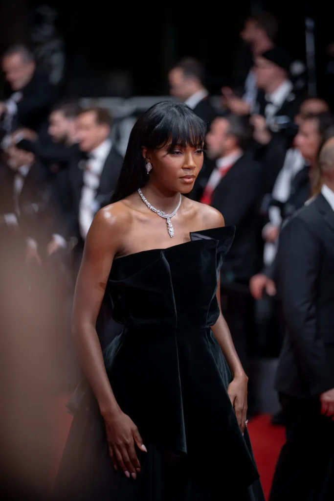 Cannes Film Festival photographer — 14