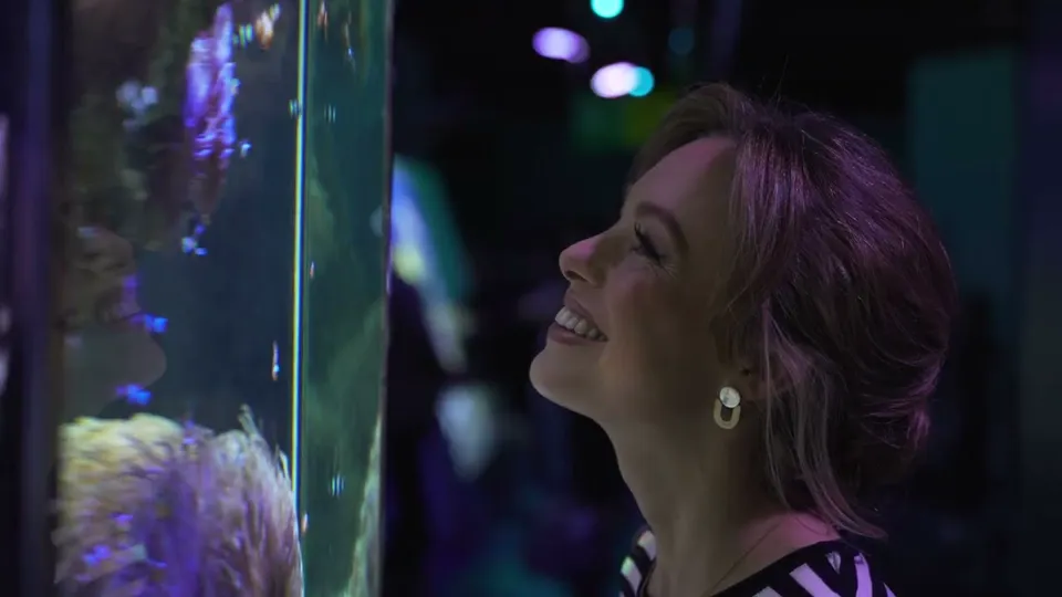 Monaco City Tour — Documentaire